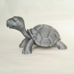 IMG_20180501_181745.jpg STL file Turtle・3D print model to download