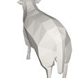 10006.jpg sheep animal