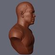 11.jpg Dr Dre Bust 3D print model