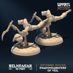 001.png Archivo STL Shadowdancer del velo B Desnudo y Normal・Modelo de impresión 3D para descargar, Belksasar3dprint