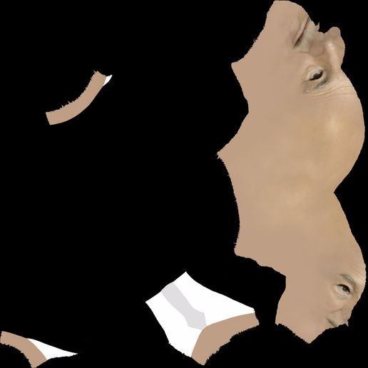 professor-x-charles-xavier-bust-ready-for-full-color-3d-printing-3d-model-obj-mtl-fbx-stl-wrl-wrz-1.jpg Professor X Charles Xavier from X-Men bust full color 3D printing