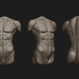 5.png Archivo STL Tipos de torso humano・Plan de impresión en 3D para descargar