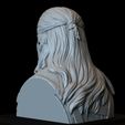 Geralt06.RGB_color.jpg Geralt of Rivia from The Witcher, 3d Printable Bust