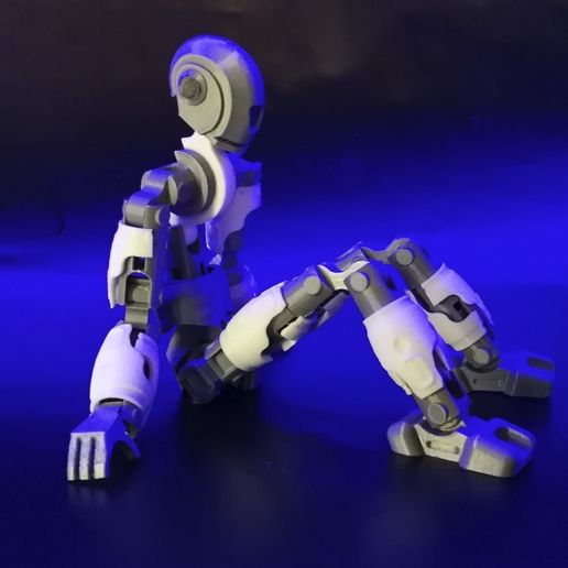 SCREENSHOT004.jpg Free STL file Robot・3D printing design to download, jmmprog