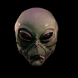 IMG_1708.png BECOME AN EXTRATERRESTRIAL INTEGRAL MASK WITH VARIOUS EXPRESSIONS.