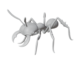 Ant-Soldier.png Ant Soldier Insect