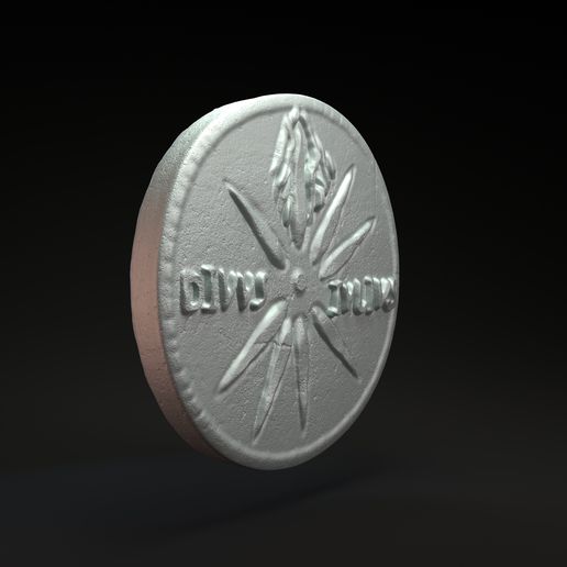 coin4.jpg Download file Roman coin with emperor Augustus • 3D printing model, Nikola_Roglic