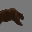 untitle2.png Bear