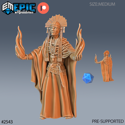 2543-Shaman-Chief-Magic-Medium.png Shaman Chief Magic ‧ DnD Miniature ‧ Tabletop Miniatures ‧ Gaming Monster ‧ 3D Model ‧ RPG ‧ DnDminis ‧ STL FILE