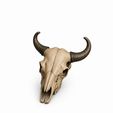 WhatsApp-Image-2026-06-12-at-13.16.30-2.jpeg 10 Skull STL Bundle | 3D Printable Skull Collection | Dragon, Human, Beast & Horned Skull Models | Instant Download