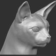 5.jpg Abyssinian cat head for 3D printing