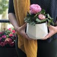 IMG_1841.jpg Low poly  flower Pot  (in 2 sizes)