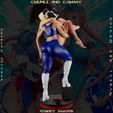 Z-18.jpg Chun Li and Cammy White - Street Fighter - Collectible Rare Model