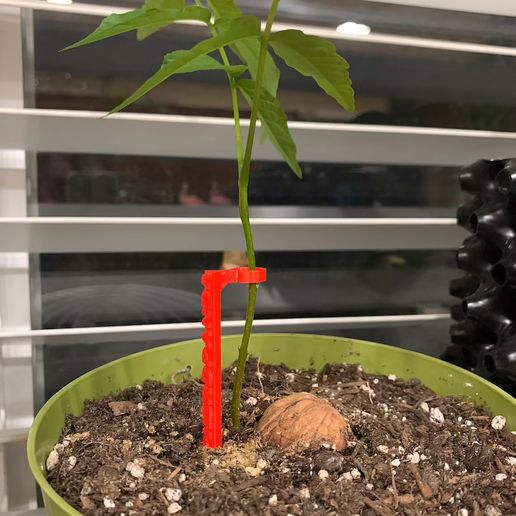 plant support