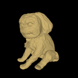 model-5.png Dog set - Pack of 3 DOGS- DOGS PACK - YORKIE POODLE