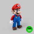 fab365_super-mario_07.jpg 3D file Super Mario Foldable and articulated・3D printing idea to download