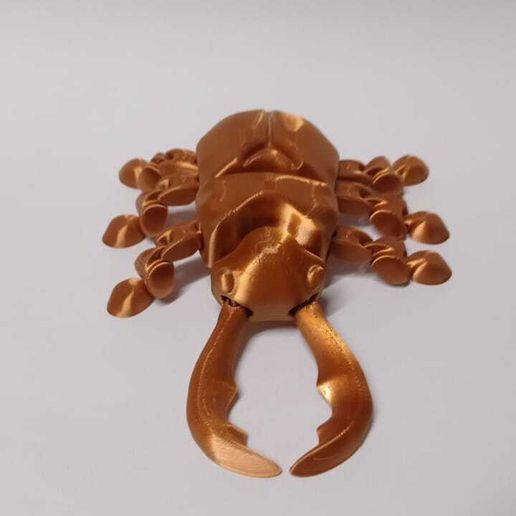 322ed6e1-68eb-4eaf-a8e4-11cd5dc81be8.jpg small Flexi Beetle