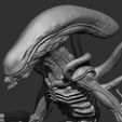 alien-2023-3.jpg Prometheus Xenomorph Ibrid Human Cocept Art