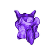 Cervical_Vertebra_08.stl Pteranodon skeleton