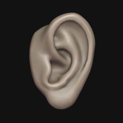 for-renderhub.jpg STL file Human ear・3D printing idea to download