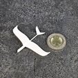 1000025736.jpg Dove Glider Tiniest Printable Airplane