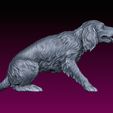 20.jpg Dog statue Spaniel