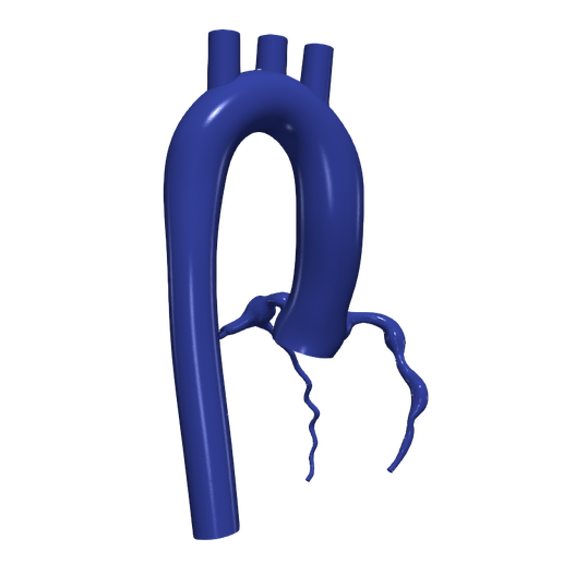 3.png 主动脉和冠状动脉 3D 模型 - 6 件装