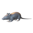 Realistic-Crawling-Rat-Mouse.png Realistic Crawling Rat / Mouse