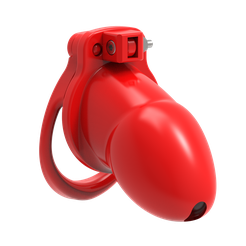 untitled.92.png Free STL file EasyCB V1 (Male Chastity)・3D printer model to download