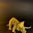 WhatsApp-Image-2022-06-30-at-18.03.07-2.jpeg Triceratops