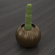 16.png MACETA PARA PLANTAS/CACTUS (PLANT VASE) *colección completa / complete collection* *colección completa / complete collection*.