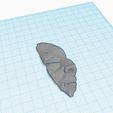 Foundingstone1.JPG Stone Face Shard - Inspired by Kingdom Death