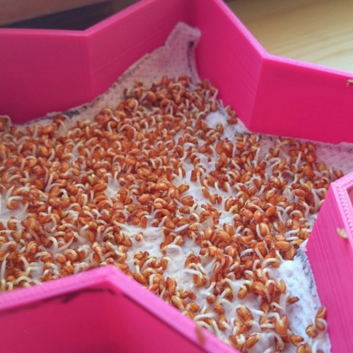 Star & Moon shaped Cress Containers - 3D model önizlemesi