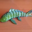 Articulating Koi Fish - Koi Fish Fidget, Flexible Print in Place (No Supports)