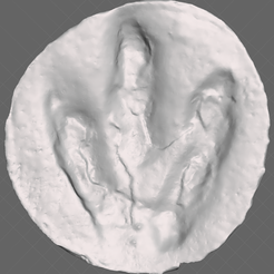 Screenshot-6.png Life-sized Dilophosaurus Footprint V2.