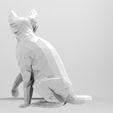 CAT.233.jpg Flux 2024 Cat - Cat