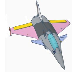 Bild-Front.jpg 3d-printed Rafale RC 80mmEDF/retractable landinggear