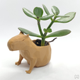 Capy_pot_1.png Capybara Flower Pot