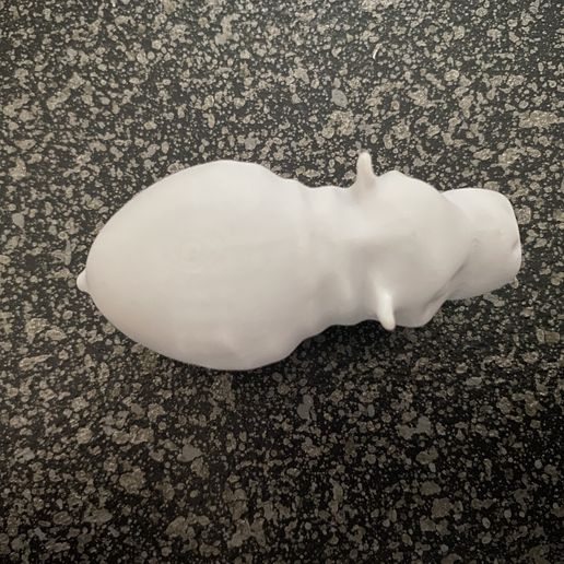 IMG_0628.jpg Hippo, Nilpferd