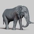 R03.jpg african elephant pose 03