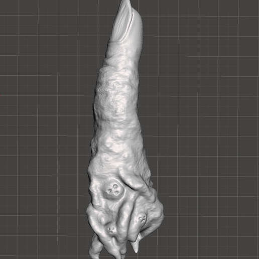 SUKUNA-JUJUTSU KAISEN FINGER V2.0 3D model
