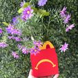 FullSizeRender_fff82d73-2820-45f7-95e4-b54464594762.jpg Unhappy meal planter