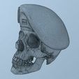 screenshot000_1.jpg Peruvian Army Beret Skull printable and renderable