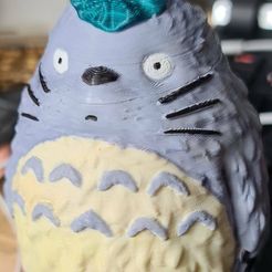 Totoro(My Neighbor Totoro)