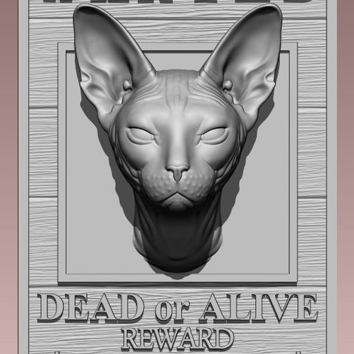 CAT SPHYNX