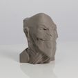 A2.jpg ACHFOS - Alien Creature Head From Outer Space