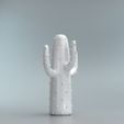 CATUS-WHITE4.jpg CACTUS