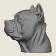 Pit-Bull-Dog-Face-Vase-04.jpg Vaso com cara de cão Pit Bull Modelo 3D pronto para impressão