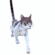 0.png CAT - DOWNLOAD CAT 3d model - animated for blender-fbx-unity-maya-unreal-c4d-3ds max - 3D printing CAT CAT - POKÉMON - FELINE - LION - TIGER