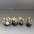 IMG_5422.jpg Miniature Plants for Dollhouse miniature greenery